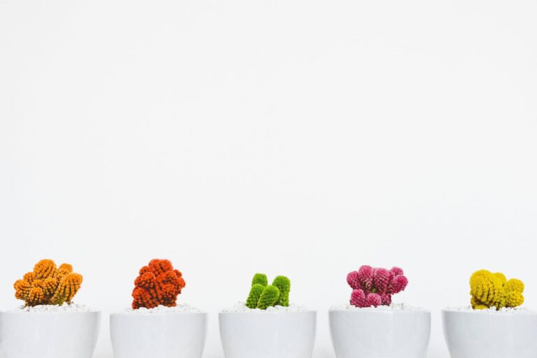 How to be creative (even when you think you’re not) image