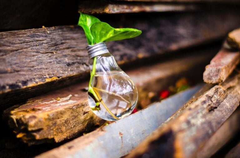 How innovation can grow your start-up image
