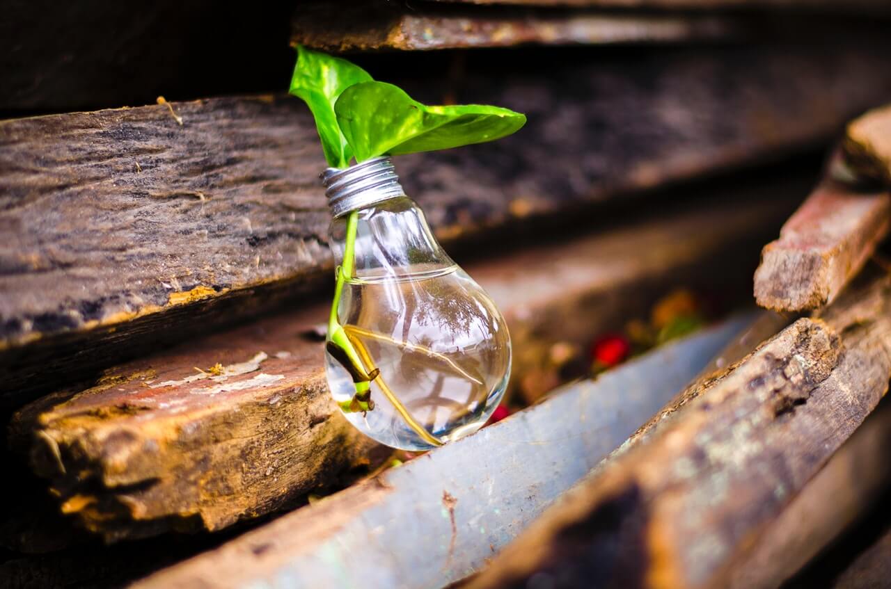 Ayoa | How innovation can grow your start-up