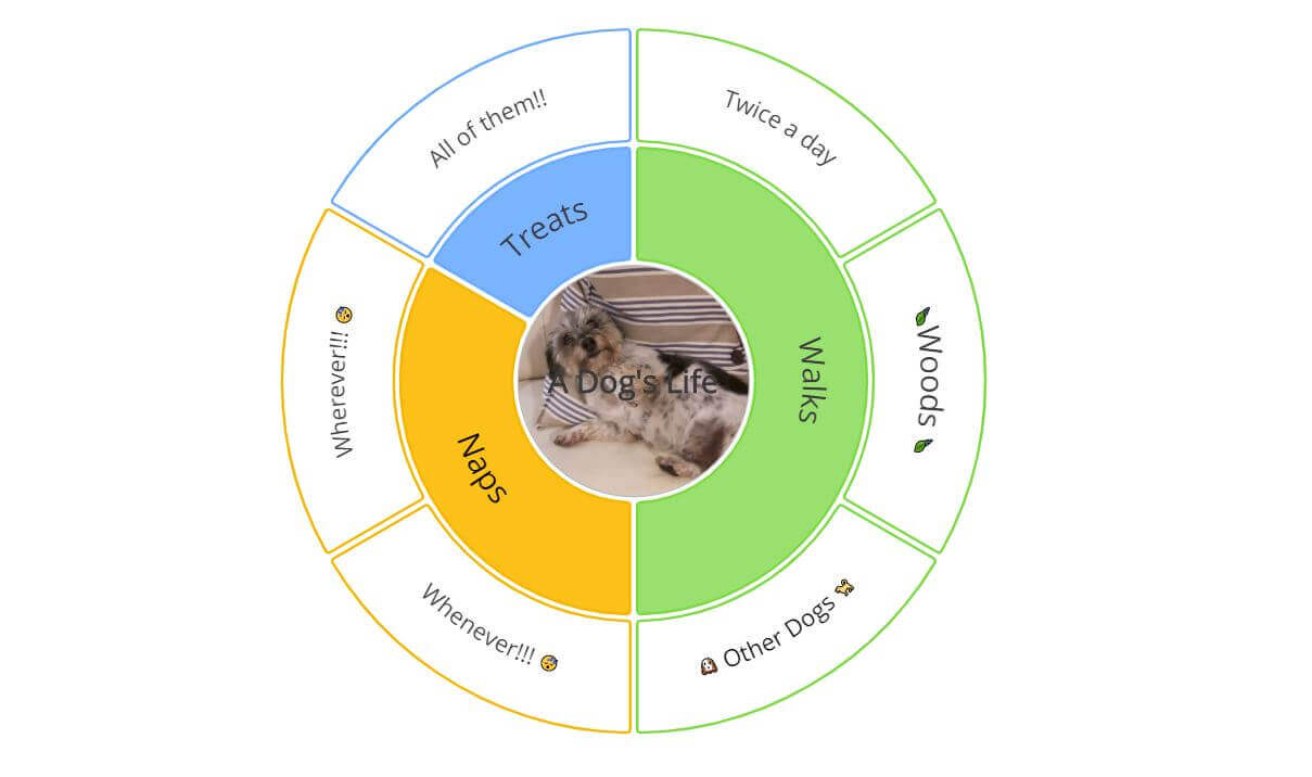 A dogs life mind map