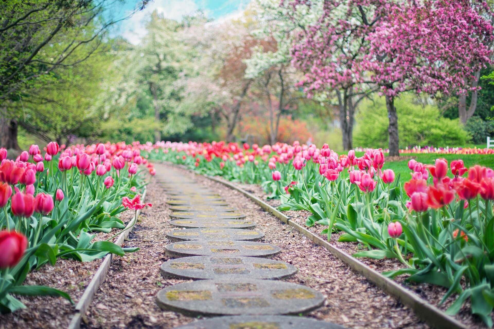 spring pathway